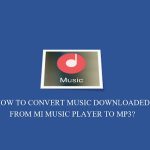 How to convert songs downloaded from Mi Music Player to Mp3?